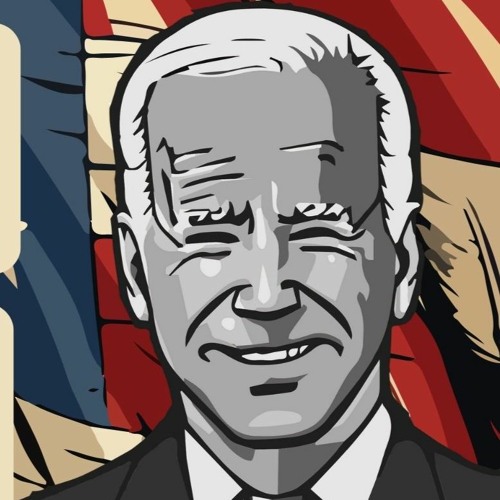 Heddi Mesh - Biden