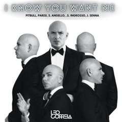 Pitbull, Parisi, S. Angello, S. Ingrosso, J. Senna - I Know You Want Me (Léo Correia) Pix / Paypal