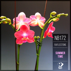 RafleSTone - The Summer Has Come (Original Mix)