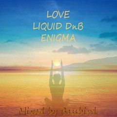 Liquid Love Enigma 2016