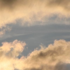 On Your Winds (excerpt)
