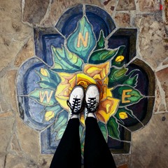 i cover "Bitter Medicine" by The Crane Wives