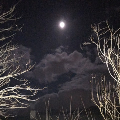 Like i gotta stencil