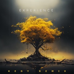 Ludovico Einaudi - Experience (KEDY Remix)