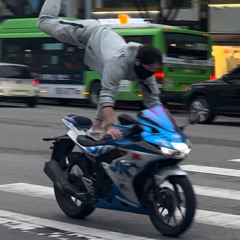 디바궁의 공도 전갈믹셋 (추천 by “디바궁“)