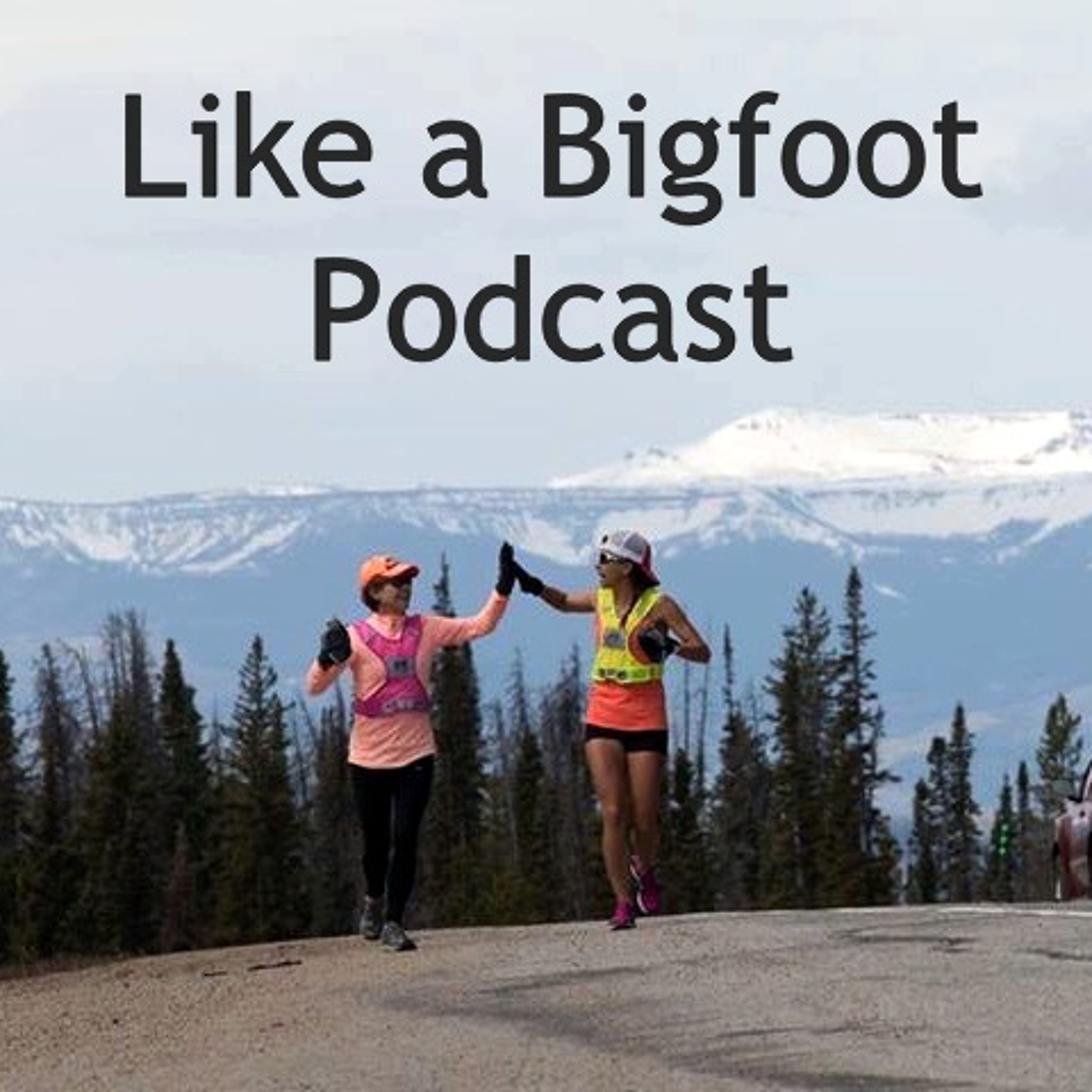 #285: Kaitlyn Yonke & Sue Morgan -- MS Run the US, Finding a Greater Purpose episode artwork