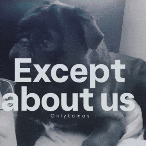 (Remastered) onlytomas - Except About Us