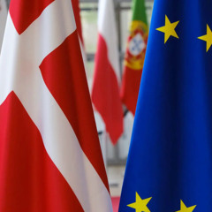 Danemarca preia președinția Consiliului UE la 1 iulie. Jurnal rural