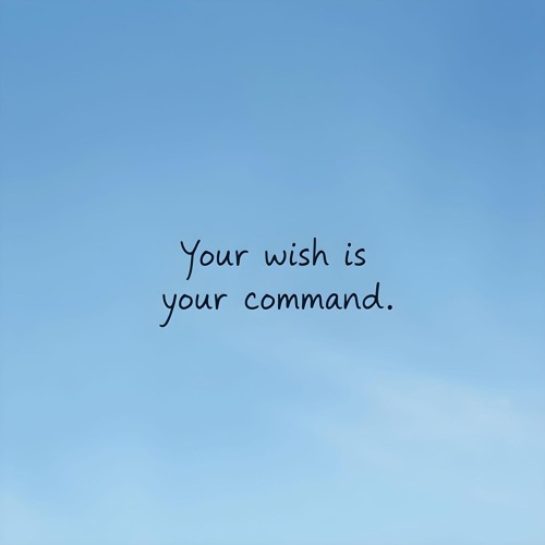 IL TUO DESIDERIO È IL TUO ORDINE (Capitolo 3)