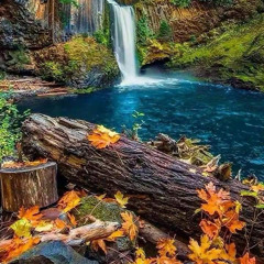 The Call Of Nature
