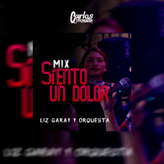 124 Mix Siento Un Dolor - Liz Garay (Stiven Franco) [JNTCM!X O4 Versiones] 2O25