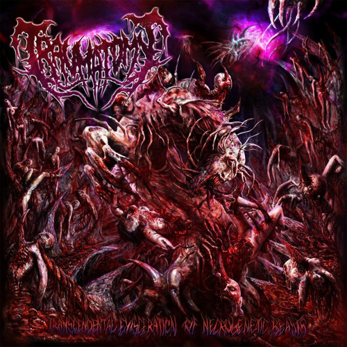 Disintegration in Suffering