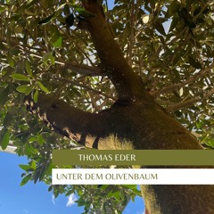 Unter dem Olivenbaum