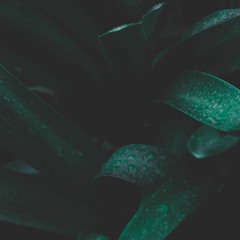 Harmochord - unmixed