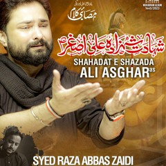 Shahadat e Shahzada Ali Asghar (a.s)  --  Syed Raza Abbas Zaidi  --  2023