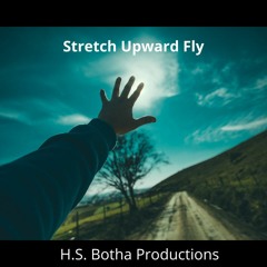 Stretch Upward Fly