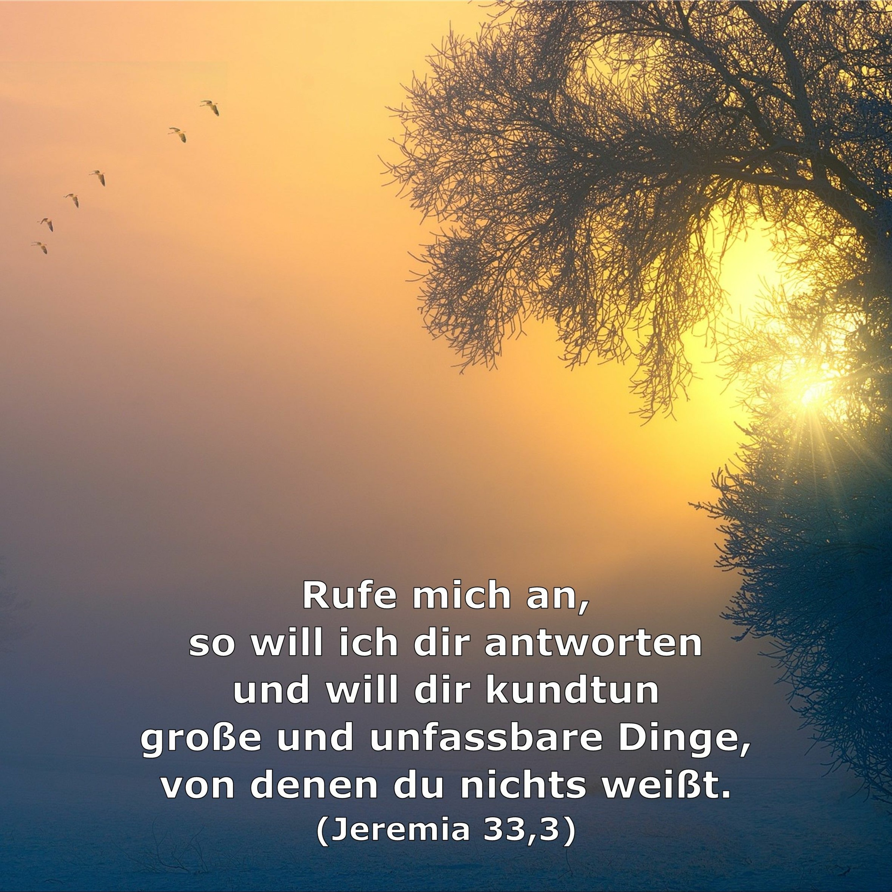 In einem Jahr durch die Bibel