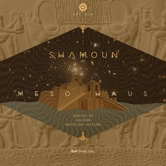 Danny Shamoun - Meso Haus (Valeron Remix)