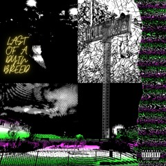 Nina May(Prod. Poodah2100)