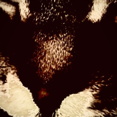 IKARIOS | things flow (2025 mix)