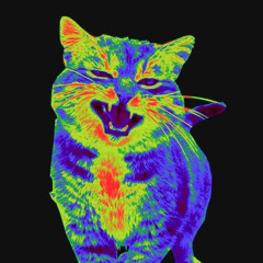 Acid Bitter Sweet