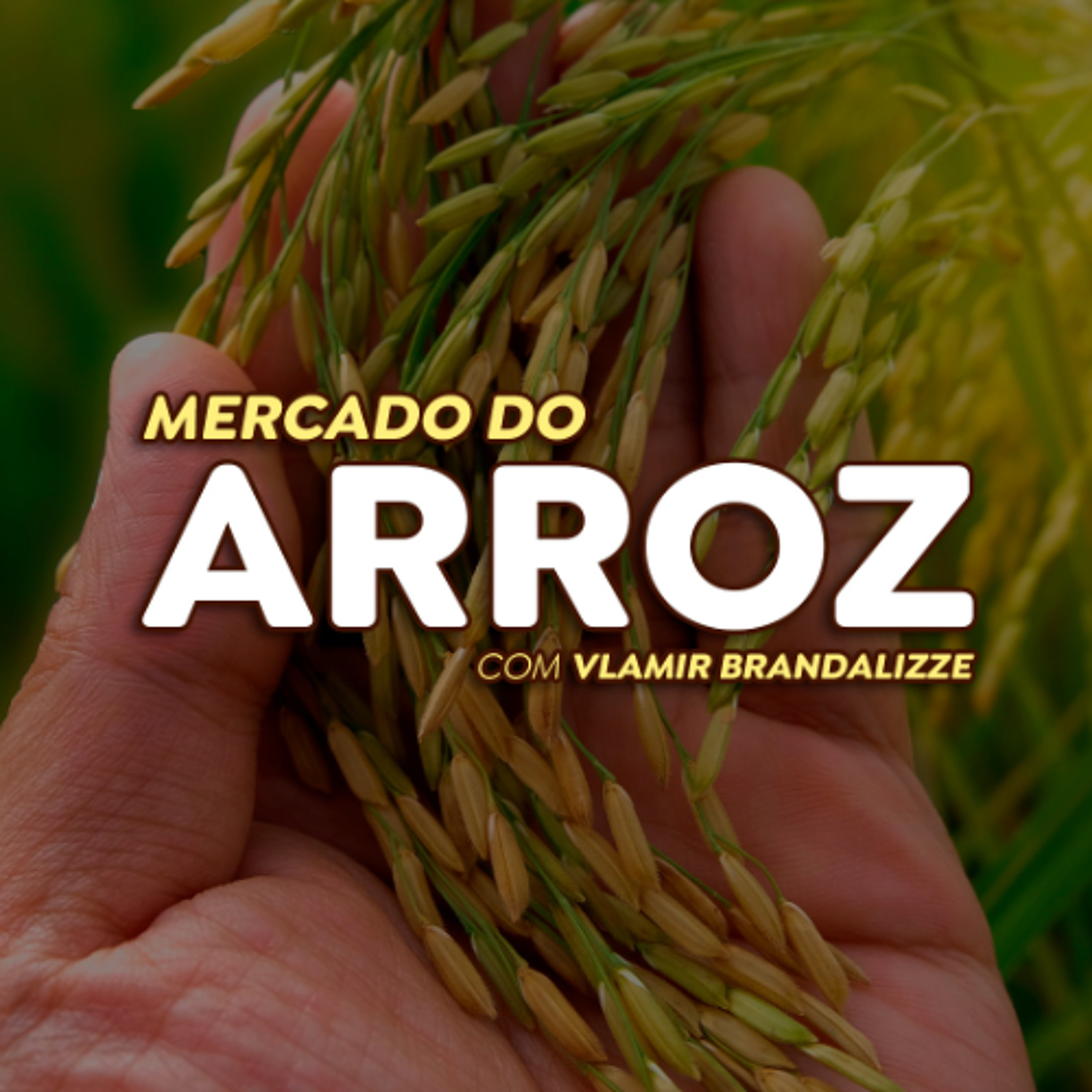 Safra de arroz do Mercosul vai crescer e produtores devem se atentar à exportação