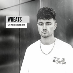 Gray Area Spotlight: Wheats