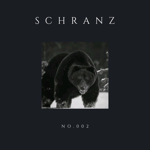 Schranz Content No.002