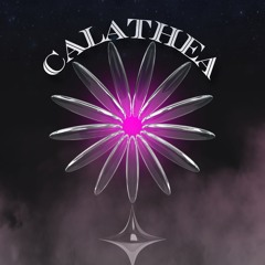 Calathea 01