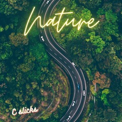 it's not all what it seems prod. C slicks