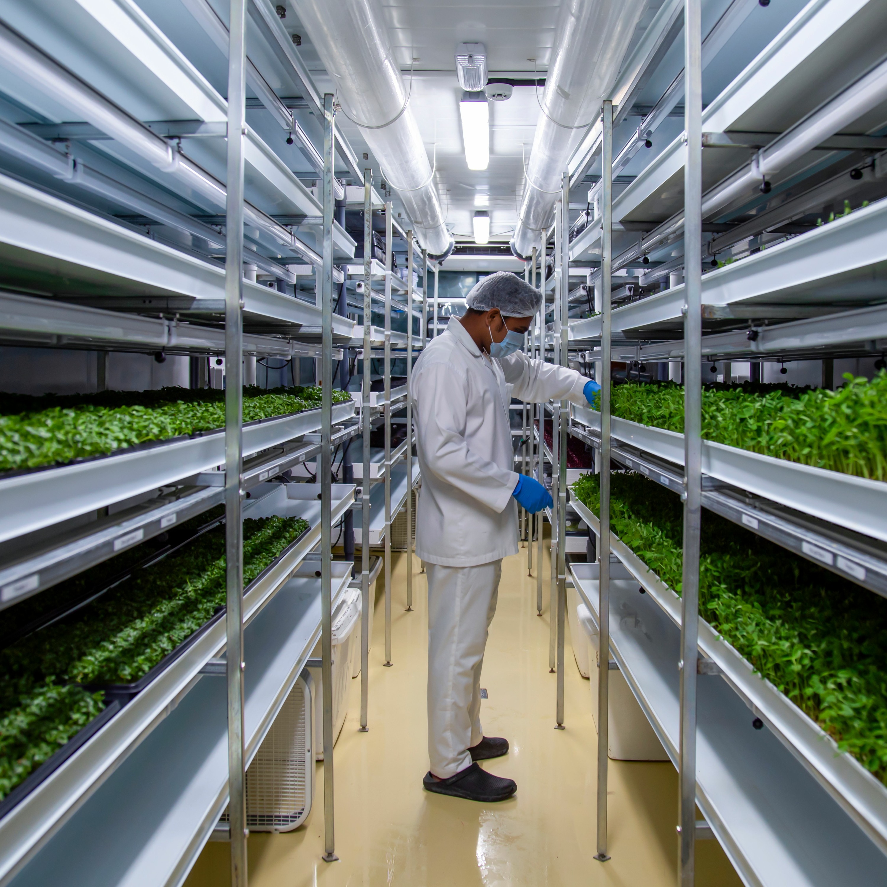 Schneider Electric MEA Goes Green Podcast