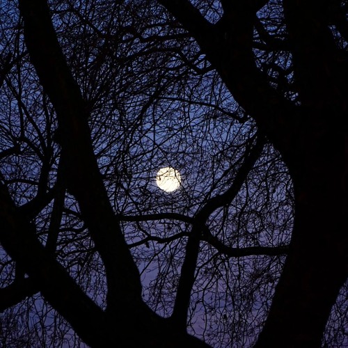 Ambient Selection 1 - Vinyl DJ set