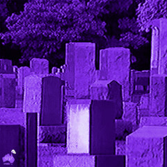 Bones - FoDa94 [Chopped & Screwed] PhiXioN