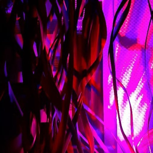 Allein, Daheim! Daheim, Allein!