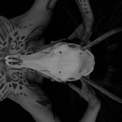 MAMMA TOUCH_ t e c h N 0 _ s e t _ 2 0 2 3 _ A U G U S T _ A C I D _ b e j b