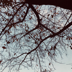 A Scene From Last Autumn