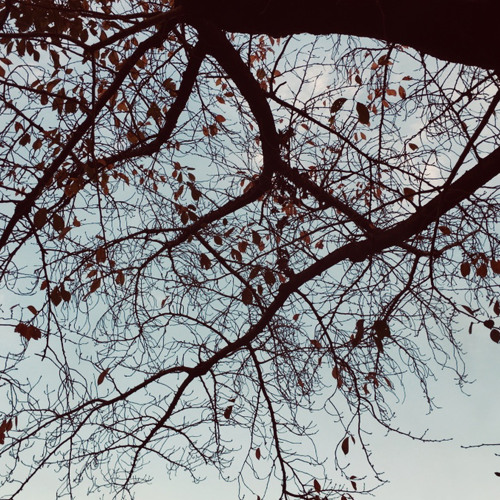 A Scene From Last Autumn