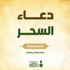 دعاء السحر | بصوت السيد محمد رضا ميري حفظه الله