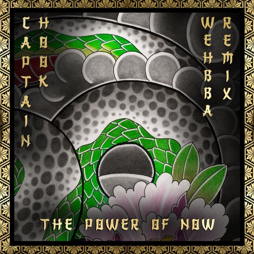 Captain Hook - The Power of Now (Wehbba remix) - SNIPPET - Out Now!