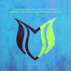 Where I Belong (Tim Damage Extended Remix)