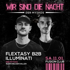WSDN / FLEXTASY B2B ILLUMINATI / 11.01.