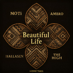 Beautiful Life