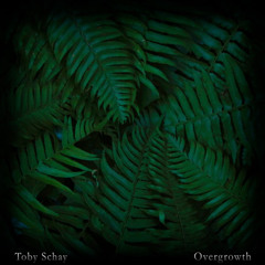 youth - toby schay