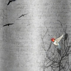 If I Could Start Today Again (Paul Kelly/Paul Grabowsky Cover) with Adam Fox