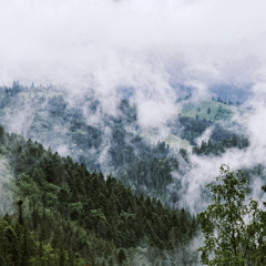 b e f o r e p h a s e - rain dance