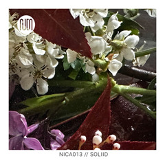 nica013 // SOLIID @ AKZENT