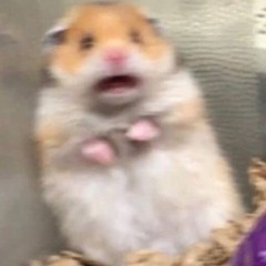 Stranger Things ft. Blapiano LB Turnt & Lil B.R.O.