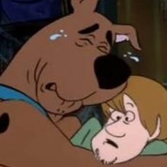 nov 8th im so attached to you