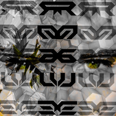 RO6UE LIVE @ BEACON DENVER 3.2.24 //