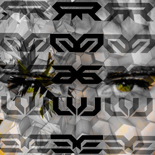 RO6UE LIVE @ BEACON DENVER 3.2.24 //